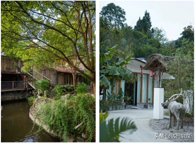 玩在渠县|元旦“渠”哪玩？开启躺平式 citywalk 指南