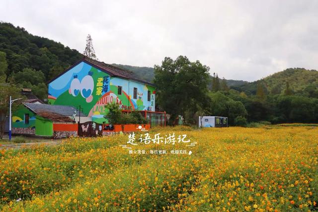 浙江宁波这片花海又火了，烟雨中更有诗画意境，周边民宿也很优美