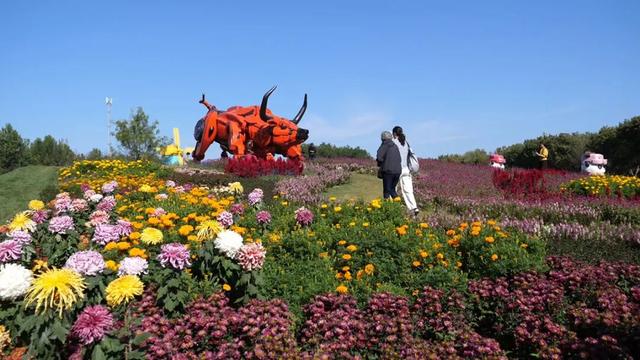 顺义文旅Slogan，由你定！