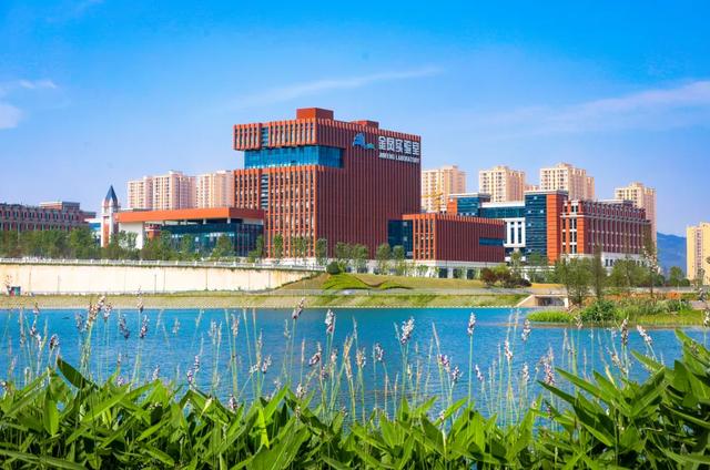 周末晒太阳!这几地有湖水+草坪+1h可达