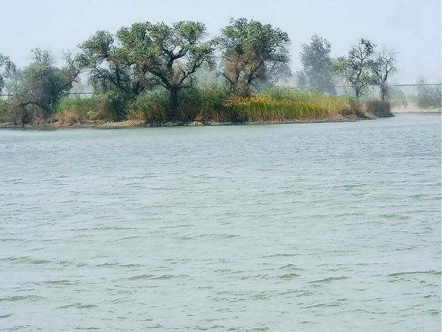 新疆罗布人村寨