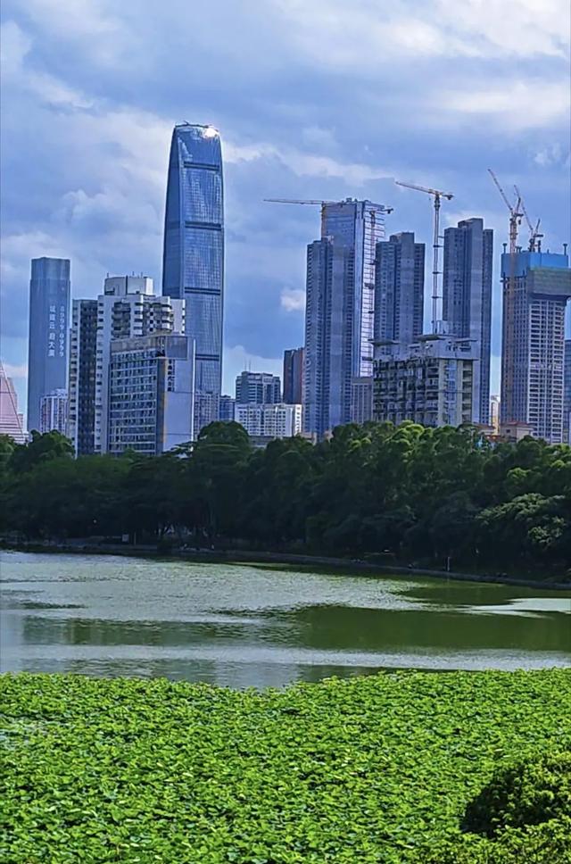 不要小看深圳罗湖，它的城建风光不输深圳任何一个区