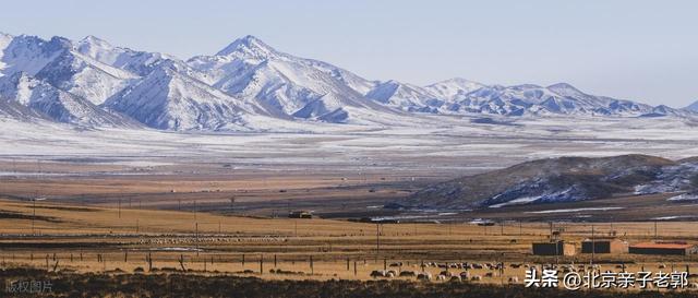西北青甘大环线自驾攻略2025版
