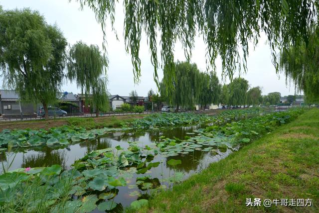 宝坻小辛码头：古渡辛埠藏雅韵，漕声千载忆根源