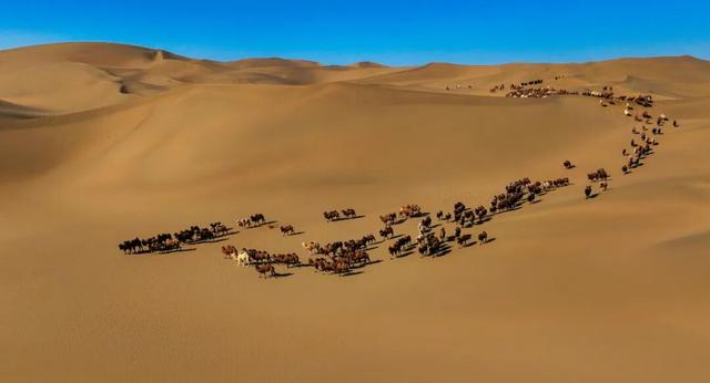 走进魅力北疆 遇见金色阿拉善