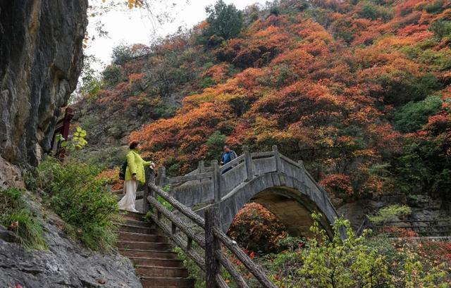 这才是秋天该有的样子~