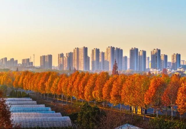 冬日金东：斑斓未尽 山水半酣