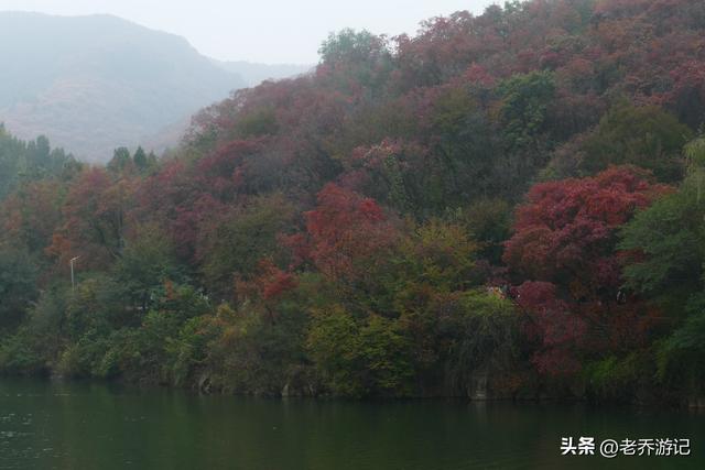 “愚”师兄吕丙霄