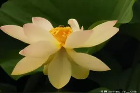 《地藏经》中最有哲理的10句话图片