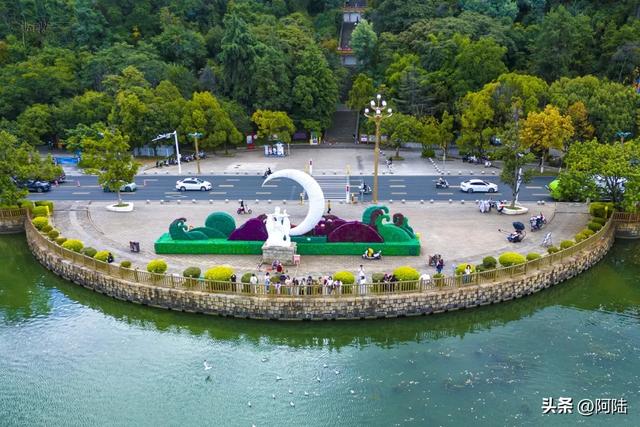 洱海边有个半圆形广场,不仅立着渔家女雕像,还是海鸥争宠的地方
