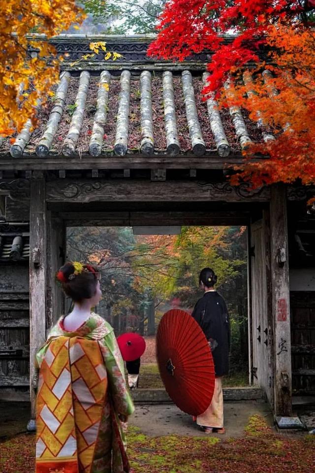 京都红叶狩完全攻略:从绝景到舌尖的秋日盛宴