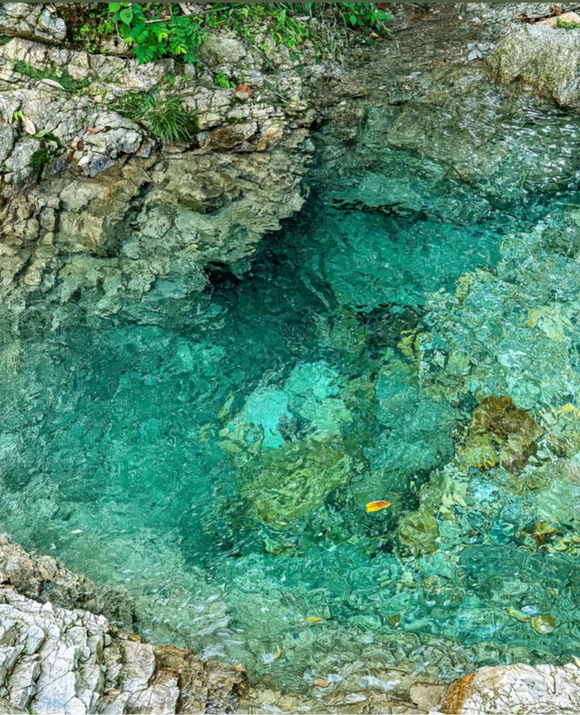 浇灭燥热！“浙”些清凉玩水胜地，你去过吗？
