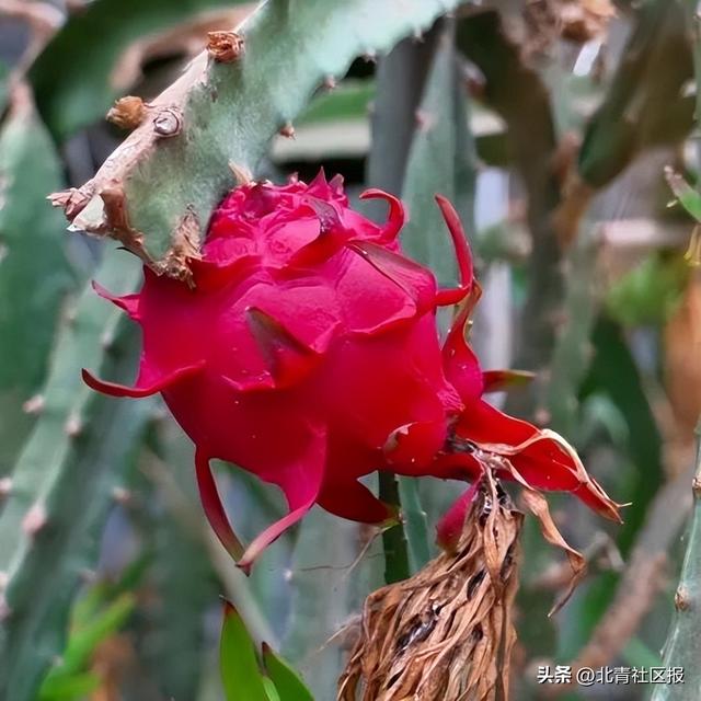 一“骑”出发吧！来打卡南口3家骑行驿站