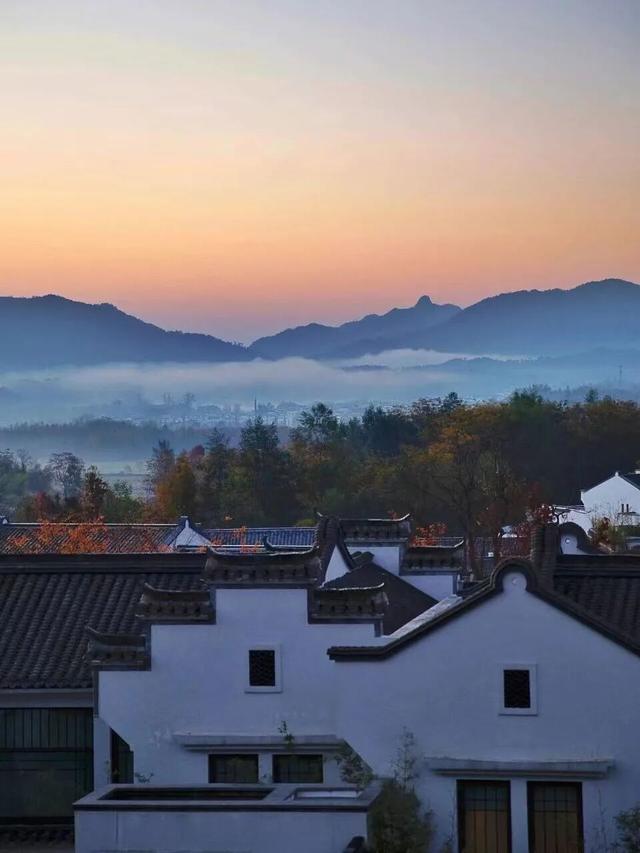 塔川秋色已上线！乌桕+民宿，等你来打卡~ | 皖美秋日