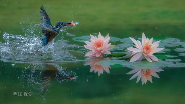 两性关系“男怕前，女怕后”，为何男人怕前女人怕后原因是什么？