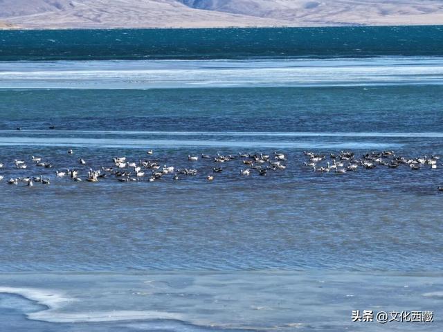 99%的人都错过的西藏最澄澈的湖泊！湖心冰裂瞬间太绝了！