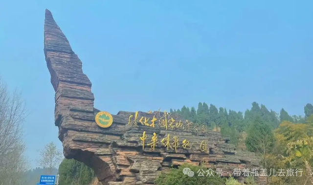 白酒流水线旁挖出恐龙蛋？四川这个县级市，竟把侏罗纪塞进GDP