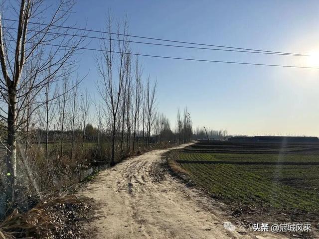 冠县乡韵·贾镇洼里村