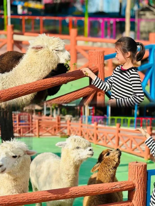 鹤鸣诗心·游在贵溪丨江西少年诗词大会赣东片区决赛即将启幕