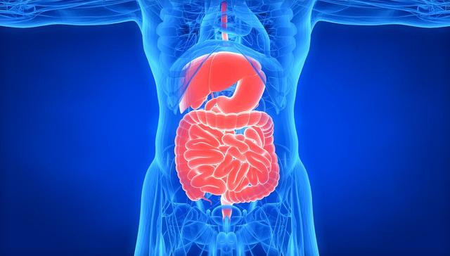 石榴立大功！新发现：石榴竟能在36小时清除50%的肠道“垃圾”