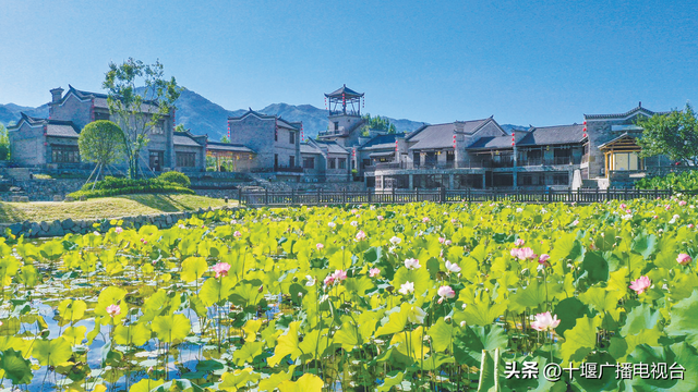 “七夕盛宴”引八方客来 郧西天河岸畔绘浪漫