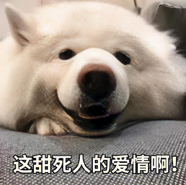 你俩不对劲，怎么戏外也这么好磕？原地结婚吧！