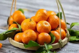 今天终于明白，为何砂糖橘都是带叶卖，原来有“猫腻”，你知道吗图片