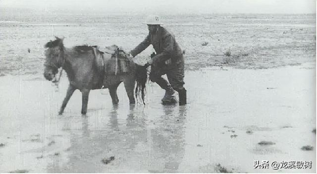 探险家塞弗尔率领探险队在车仁家族的帮助下，进入西藏进行考察