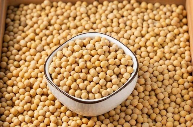 巴西大豆涨价致中国停 180 万吨订单！3 天后巴对华无纺布反倾销，背后藏大豆依赖困局