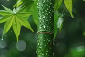 不要相信任何感情，不管亲情，爱情还是友情，你只能相信自己图片