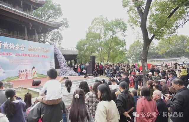 七仙女杯2025黄梅戏戏迷大赛（桐城站）开赛