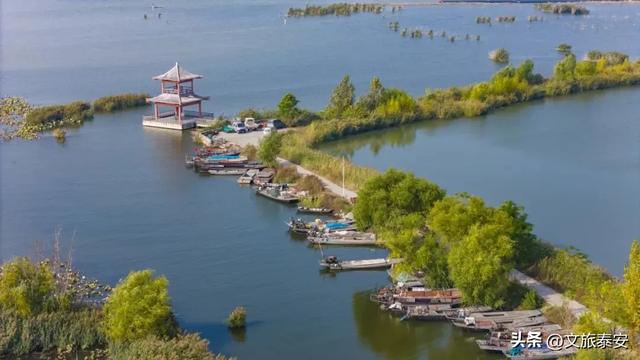 泰安“天空之镜”大火!连片芦苇+落日余晖 美到尖叫