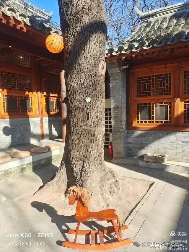 槐影深巷忆城南——参观北京林海音故居|申艳娟