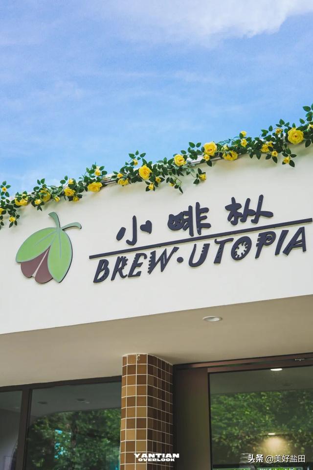 星期五，盐田上新啦 | 登山、观海、品咖、撸猫，真的太松弛了吧……