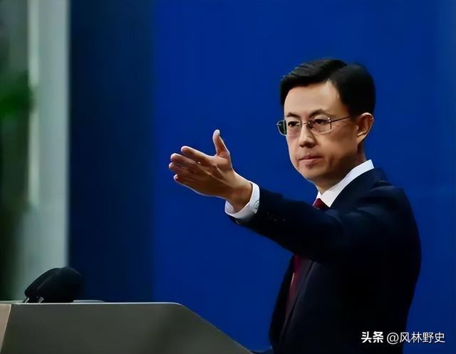 中方制裁不到24小时，日本对华提了个请求：希望能再给几只大熊猫