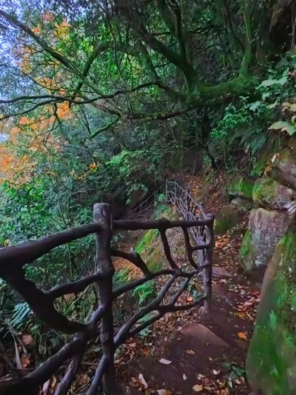 挑战20公里山野穿越！这条天台山徒步线，才是户外玩家的宝藏路线