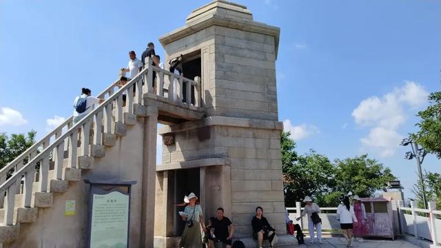菩提树下听蝉鸣