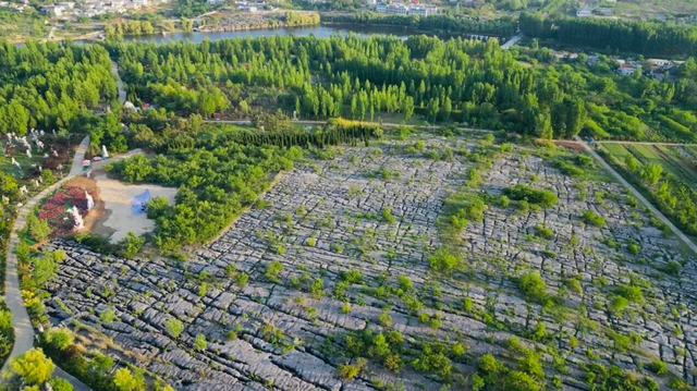 临沂春假旅行指南，请查收