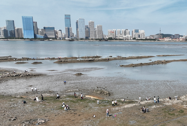 大海开启“摇滚模式”，秋潮有多“野”？
