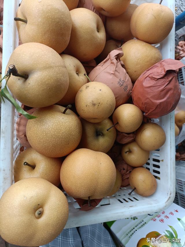 无为在歧路，国庆游淄博5