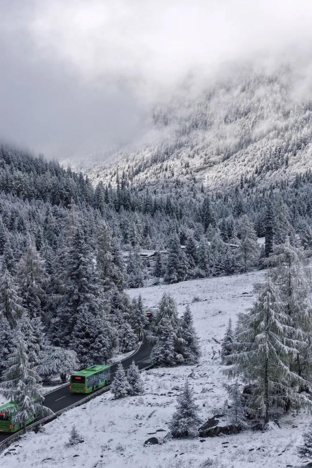 四川人盼初雪的心情谁懂！