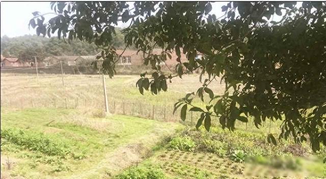 他是华国锋的接班人一心为国操劳，晚年回到家乡当农民