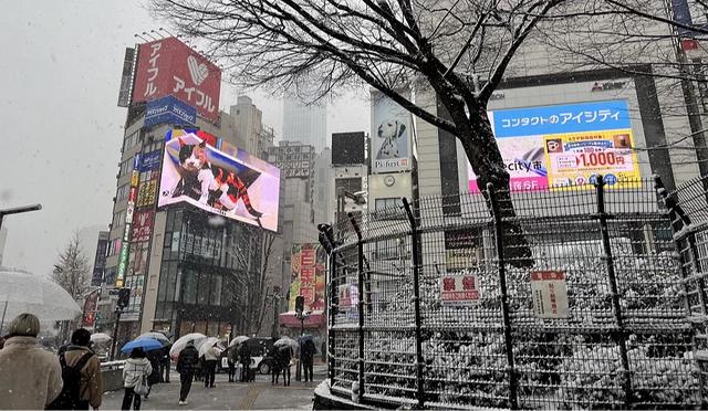 2025新宿车站转车攻略：路线、出口、转乘方式、周边景点总整理