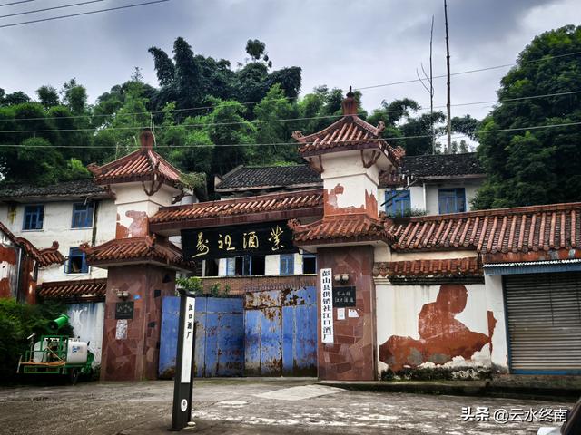 千里岷江第一镇，怎么这么冷寂？沉银宝藏、崖墓摇钱树，都白瞎了