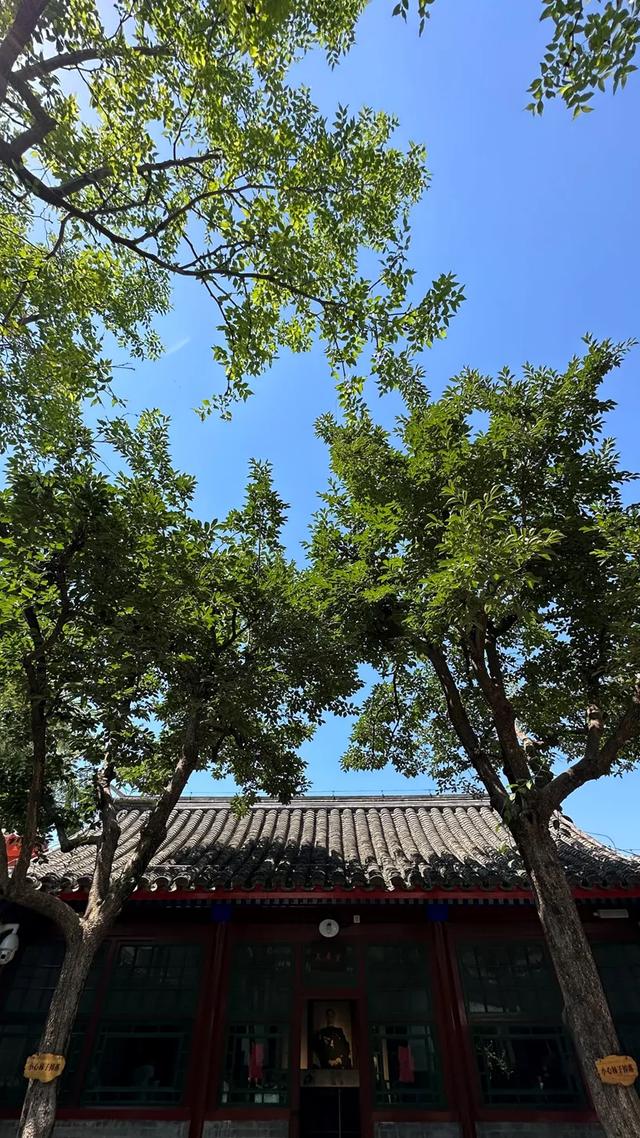 藏在胡同里的四合院博物馆，更年期小阿姨私藏推