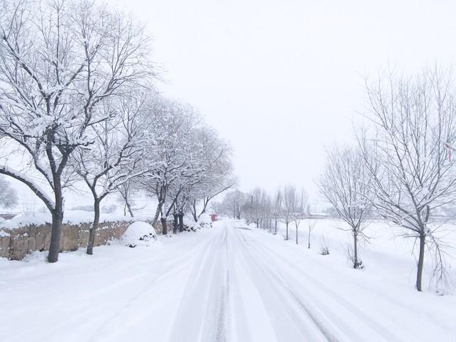 “春节冻不冻	，就看冬月初一”，今日冬月初一，2026年春节冷吗？