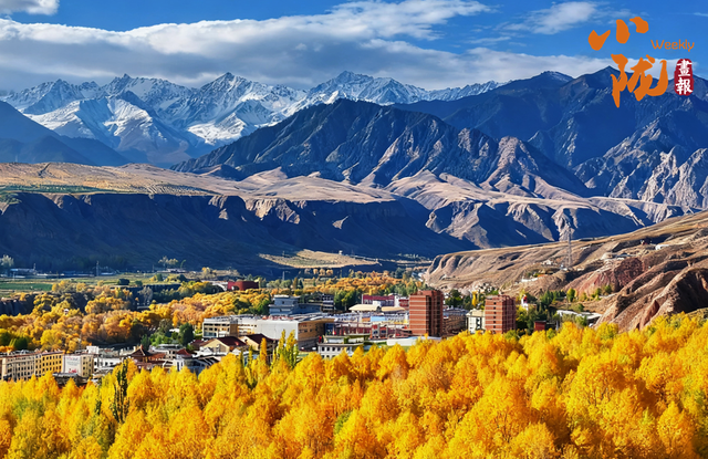 【小陇画报·426期】肃南：多彩秋日 满目金黄