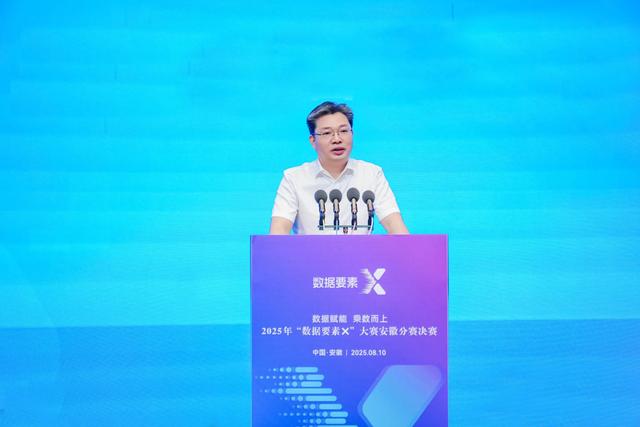 2025年“数据要素×”大赛安徽分赛决赛圆满收官