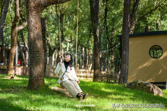 直冲20°C！武汉赏秋天花板，上新3个玩法