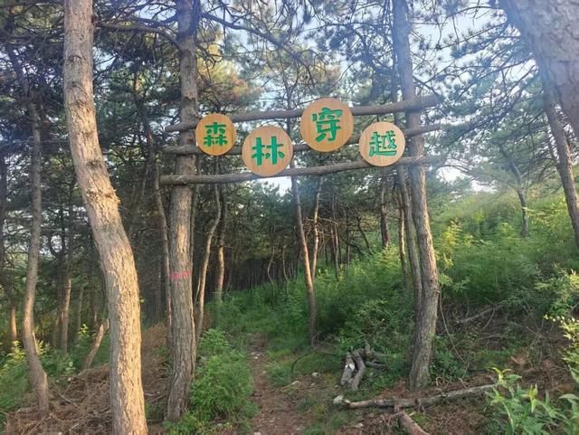 把课堂搬进风景里！潞州区加紧建设老顶山自然教育营地